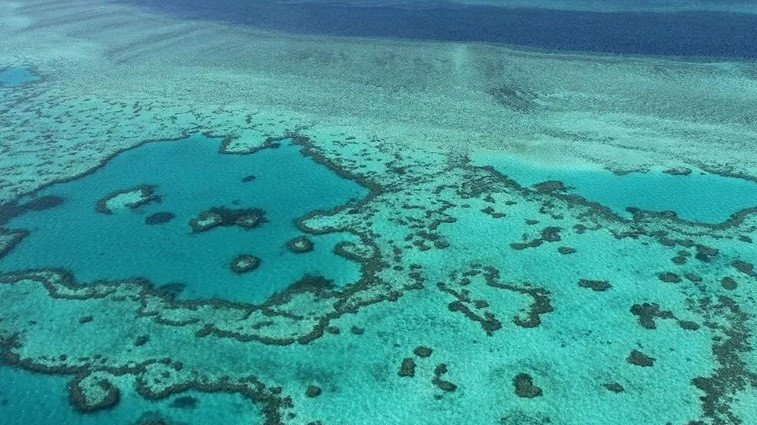 Големият бариерен риф почти напълно загуби цвета си
