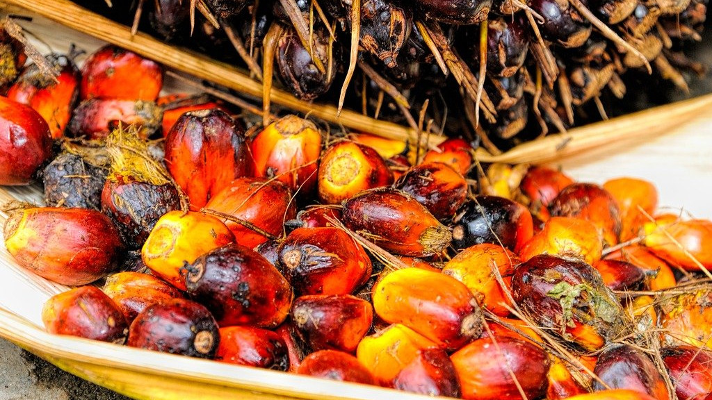 Вредите от палмовото масло и възможните алтернативи