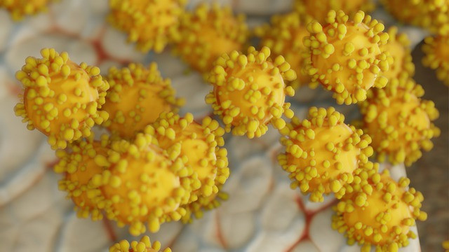 Да не се изключва версията за изтичане на коронавируса от лаборатория, предложи СЗО