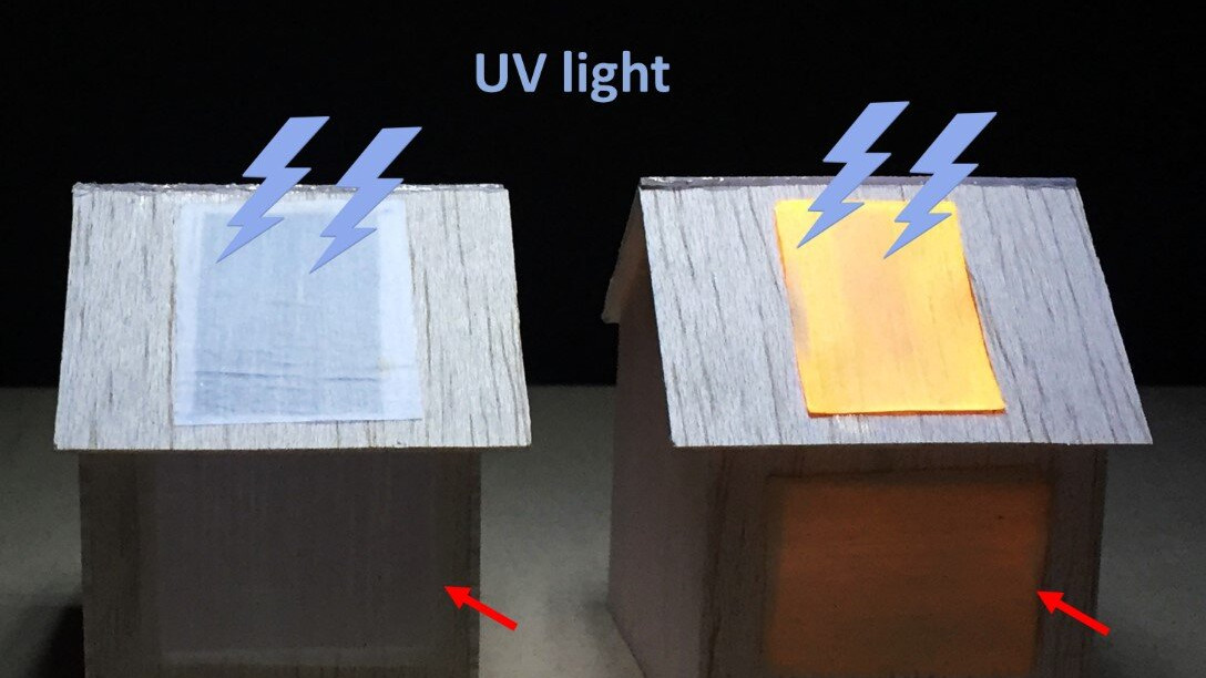 Луминесцентна дървесина ще осветява домовете на бъдещето