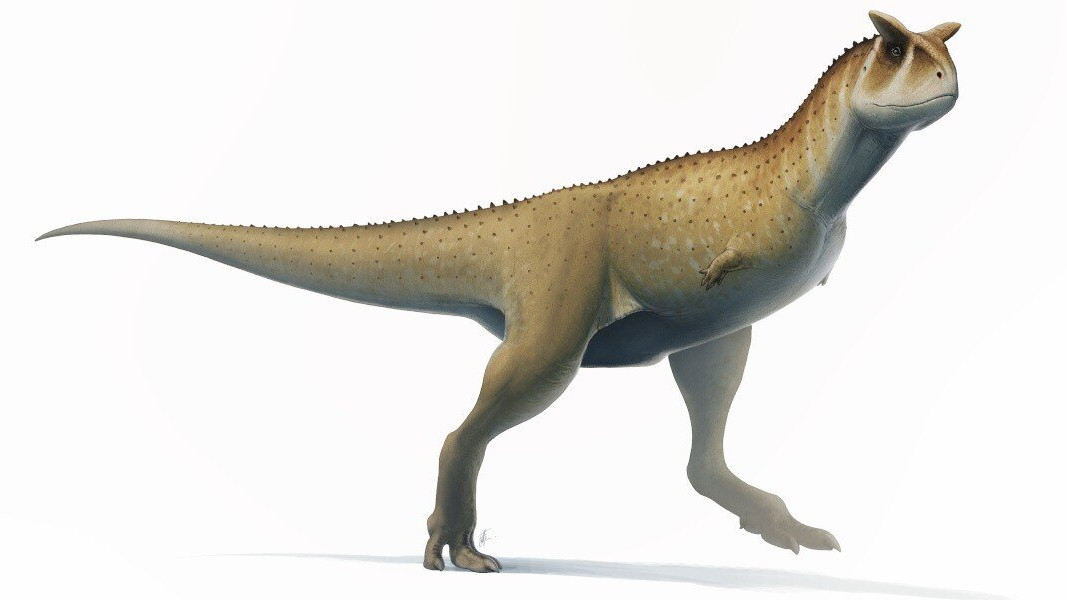 Учени откриха нов вид динозавър без ръце