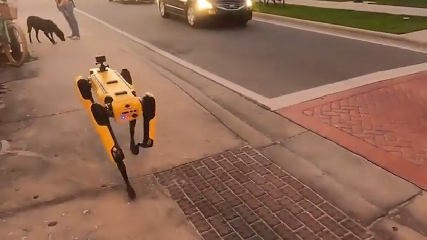 "Кучетата" на Boston Dynamics излязоха на разходка