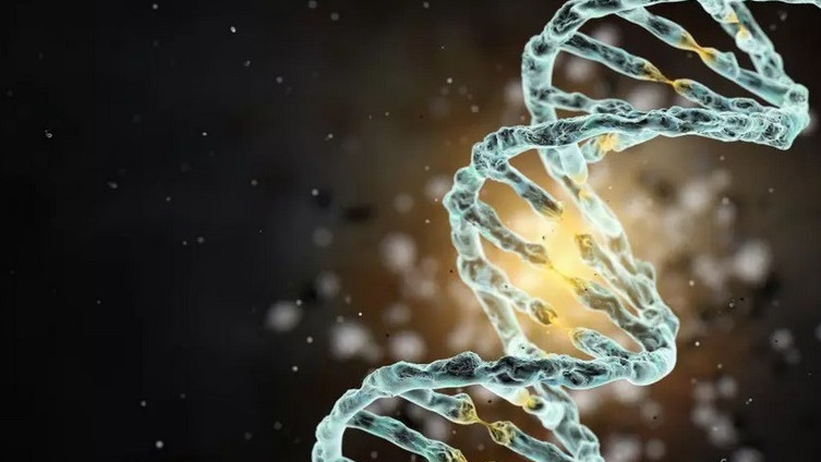 Ще помогне ли генното инженерство в бъдеще да се създаде свръхчовек