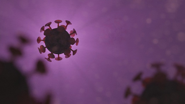 Aнтителата срещу коронавирус се запазват поне девет месеца