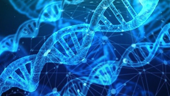 21 260 млн. $ ще стигне пазарът за генетично тестване до 2027