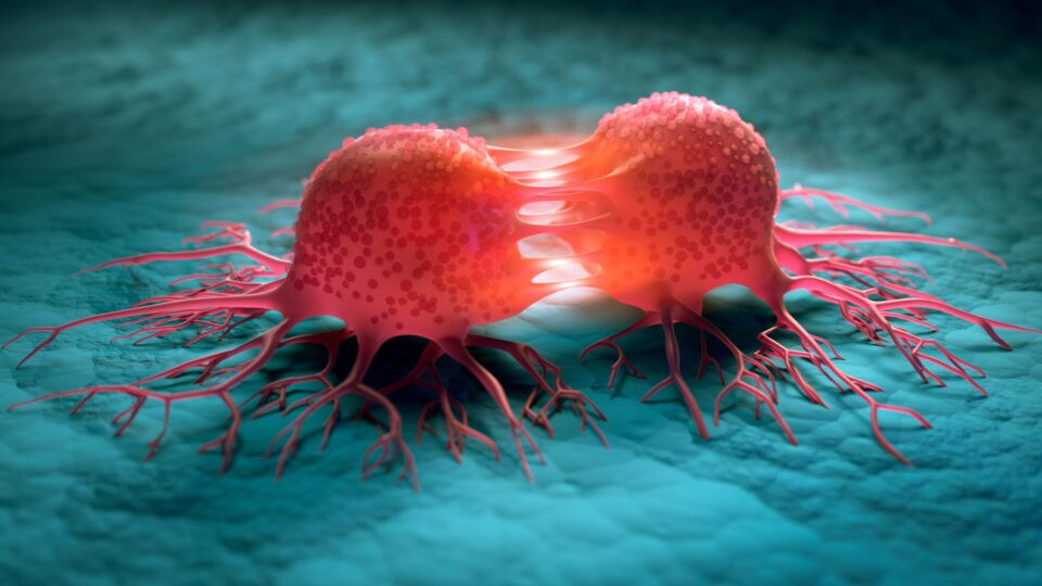 Учени откриха начин за забавяне растежа на раковите клетки