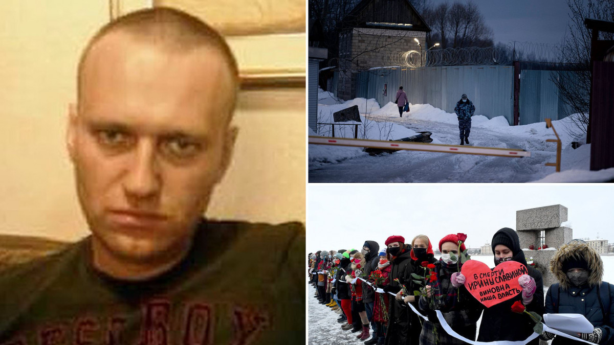 Алексей Навални – една година в Русия, една година в лагер