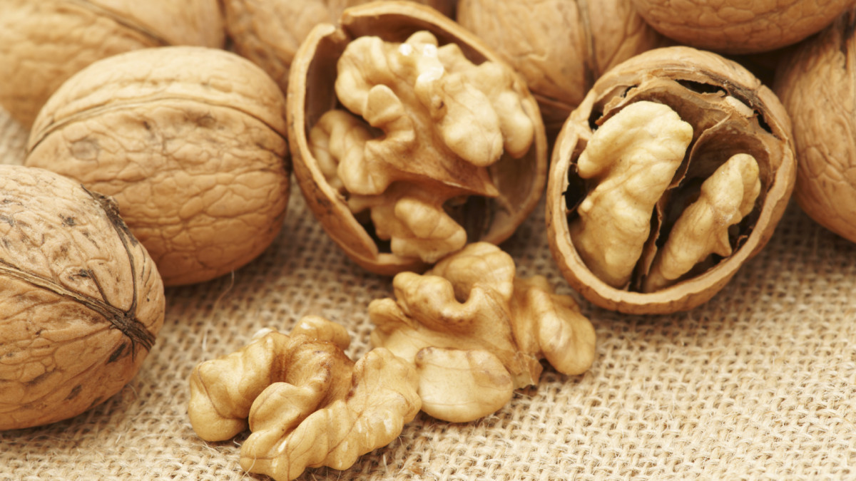 Учени селекционираха орехи, издържащи на студ и суша, черупките им се чупят с ръце