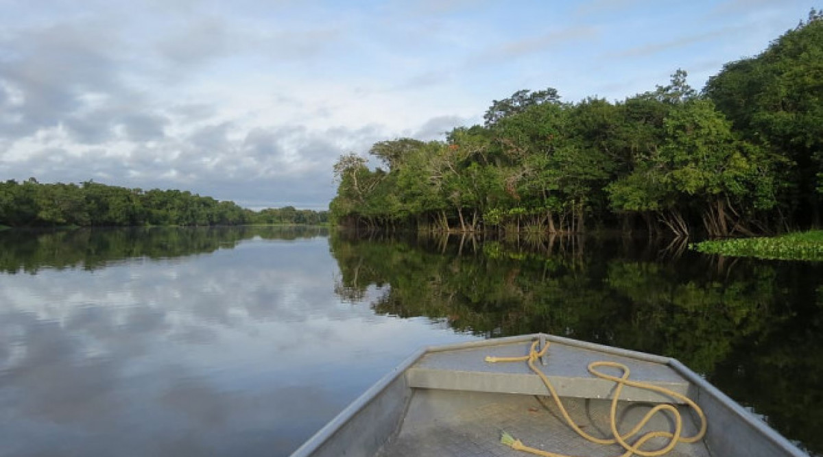 Унищожаването дори на част от горите на Амазония ще ускори изменението на климата в глобален мащаб