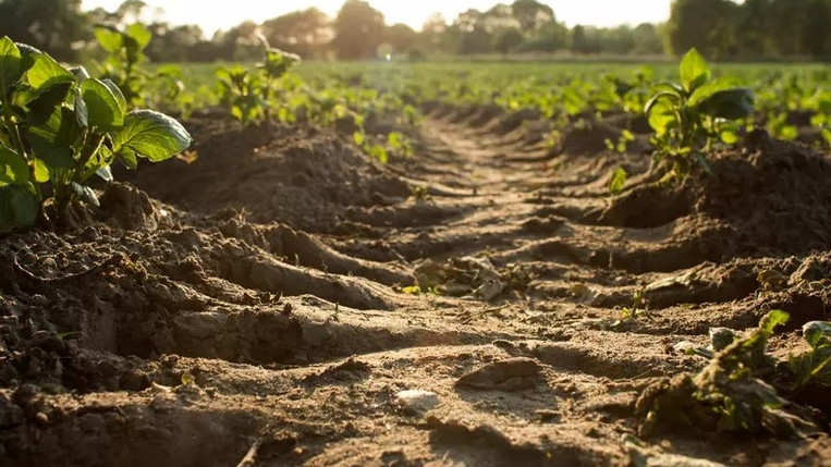 Учени предупредиха за стремителна деградация на почвата в Европа
