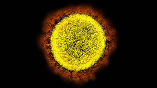 Омикрон се оказа най-издръжливият във външна среда коронавирус