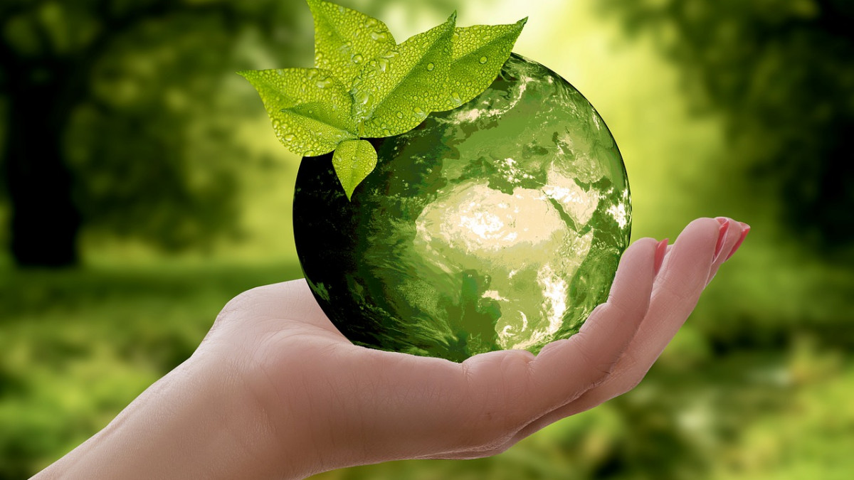 Глобалните инвестиции в зелена енергия надминаха $500 милиарда