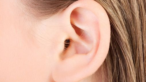 Израелски учени "отгледаха" човешко  ухо