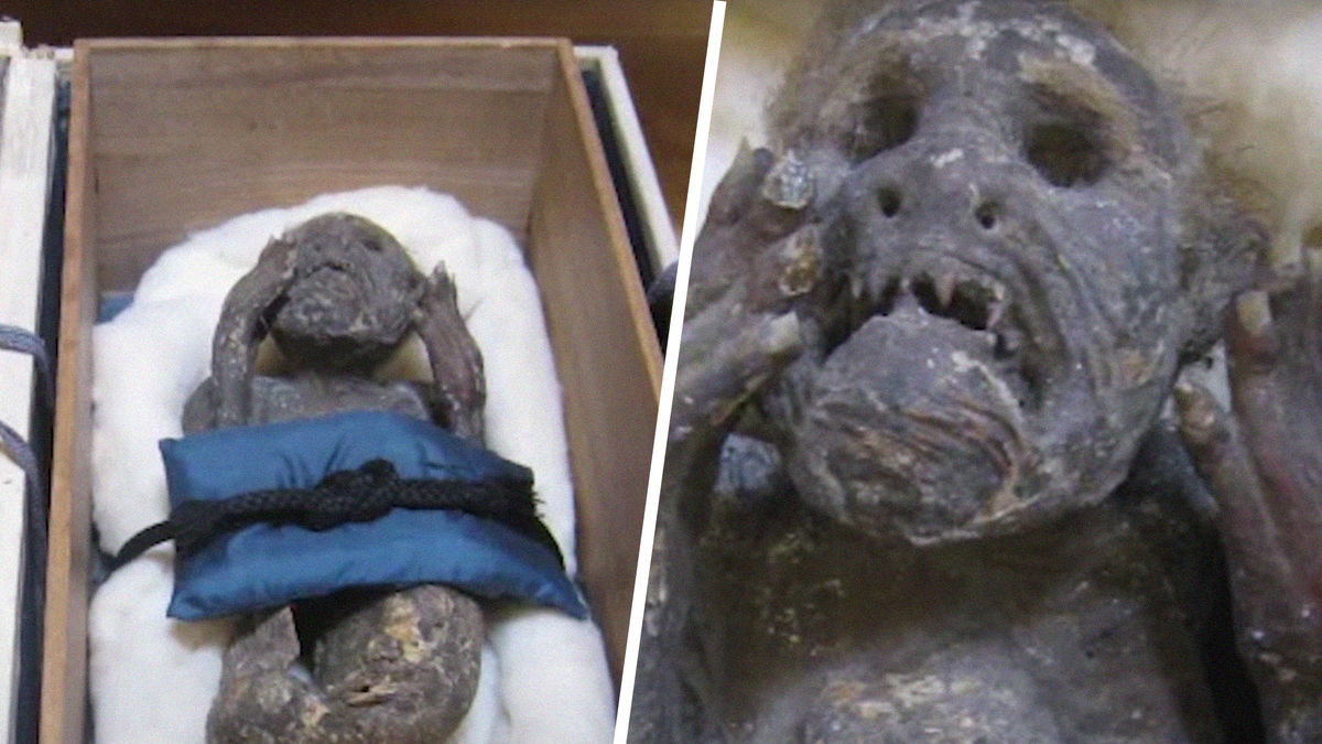 Японски учени изследват мумифицирана "русалка", открита през XVIII век