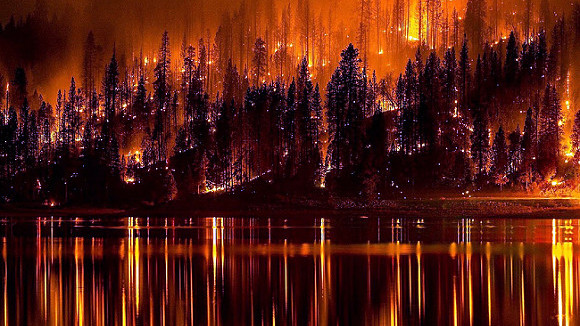 Главните заплахи за човечеството са горските пожари и шумовото замърсяване