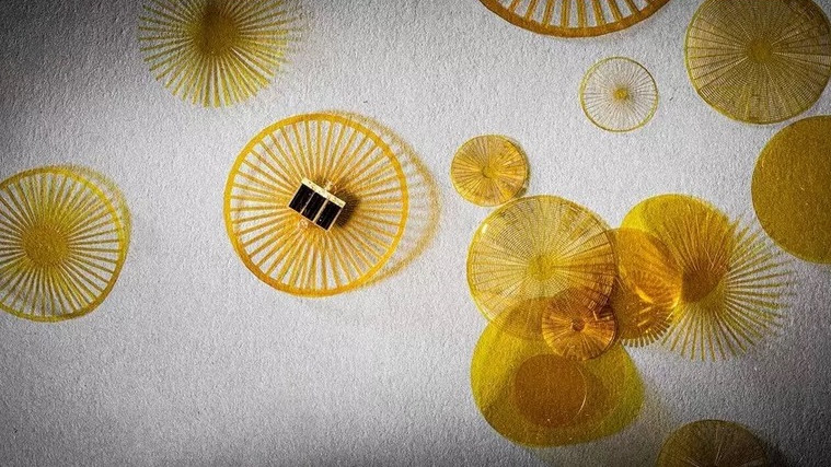 Учени изобретиха миниатюрни летящи роботи под формата на семена от глухарче