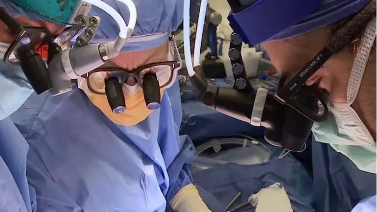 Създадоха нова методика за трансплантация на сърце, при която органът не се отхвърля
