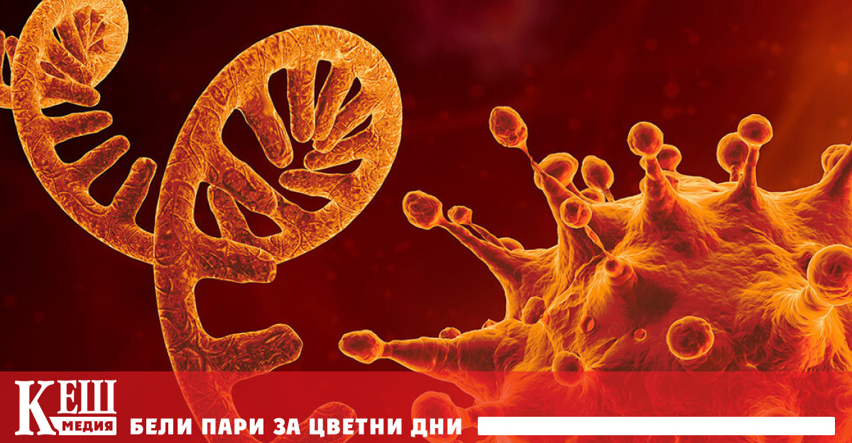 Ген удвоява риска от тежко протичане на Covid -19
