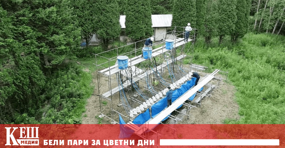 Учени установиха изненадваща връзка между климатичните промени и биоразнообразието