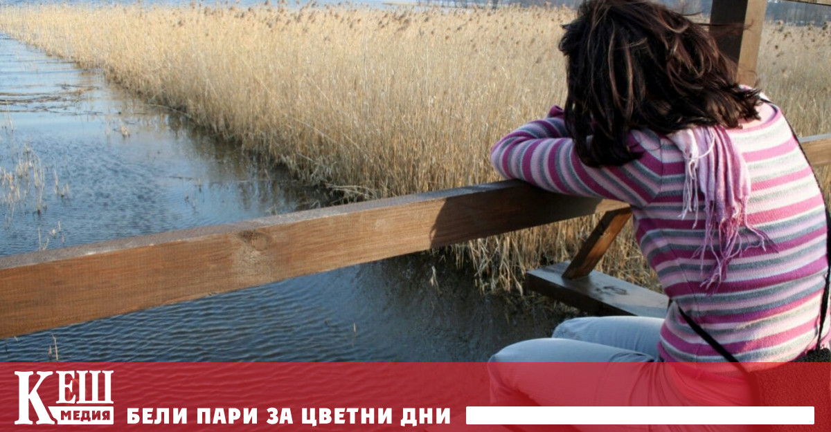 Изследователите анализират резултатите от проучванията за периода 1994 2019 г Те