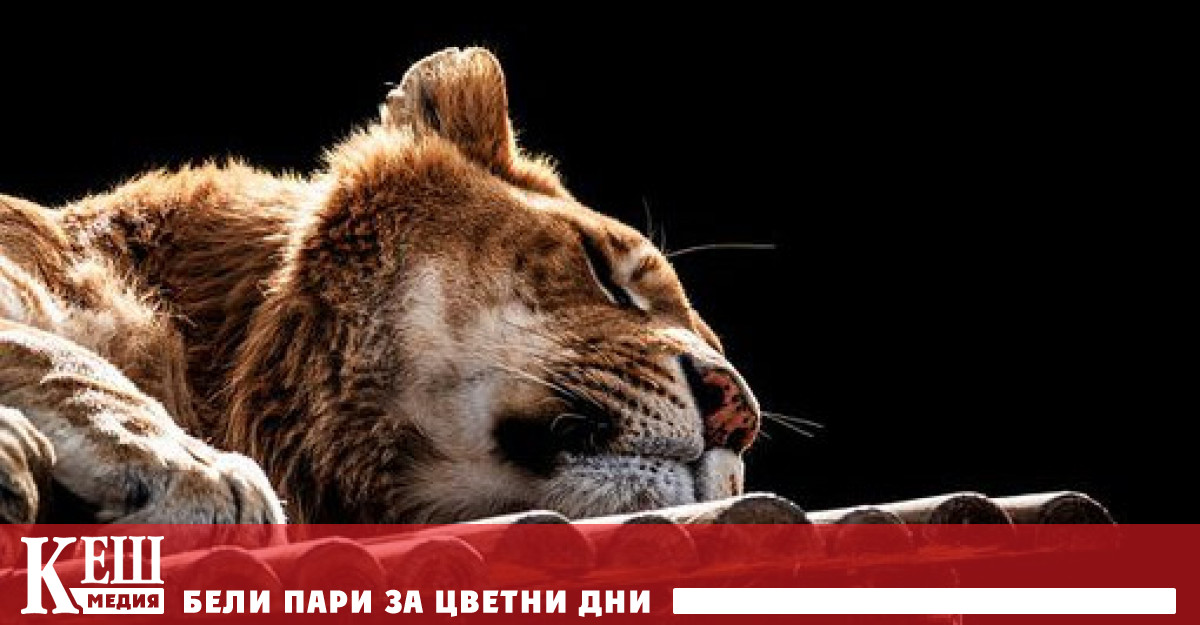 При това учените допускат появата на тежки форми на COVID 19