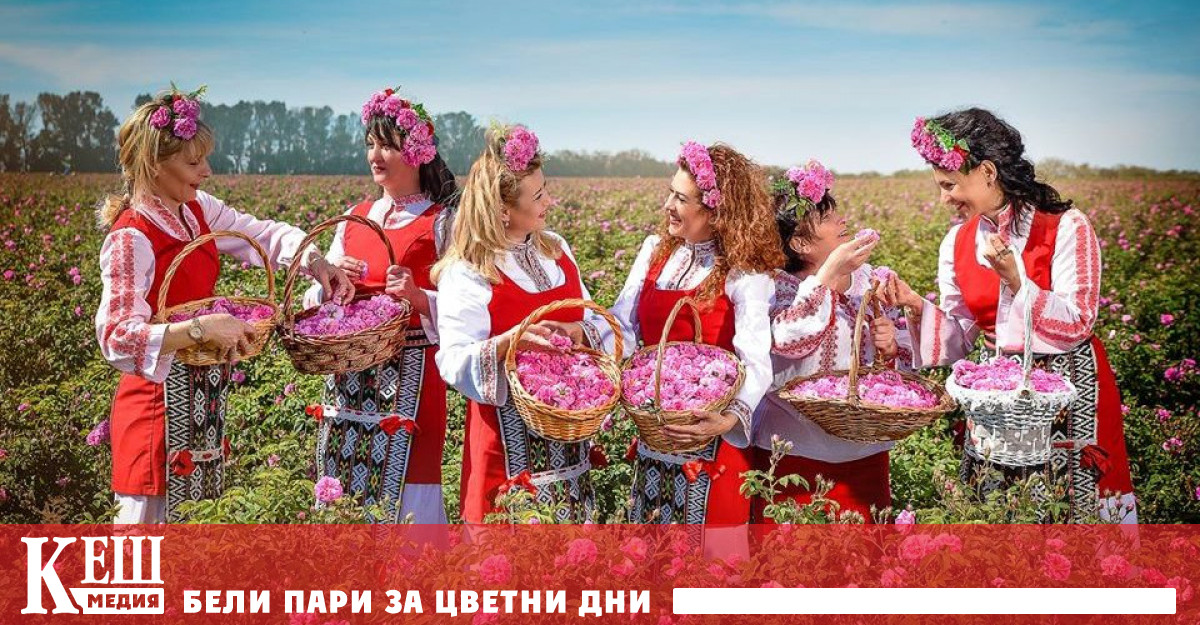 Българската банка за развитие ББР стартира Програма Подкрепа за розопреработване