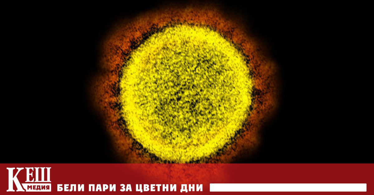 Японски учени откриха че щамът на коронавируса се съхранява по дълго