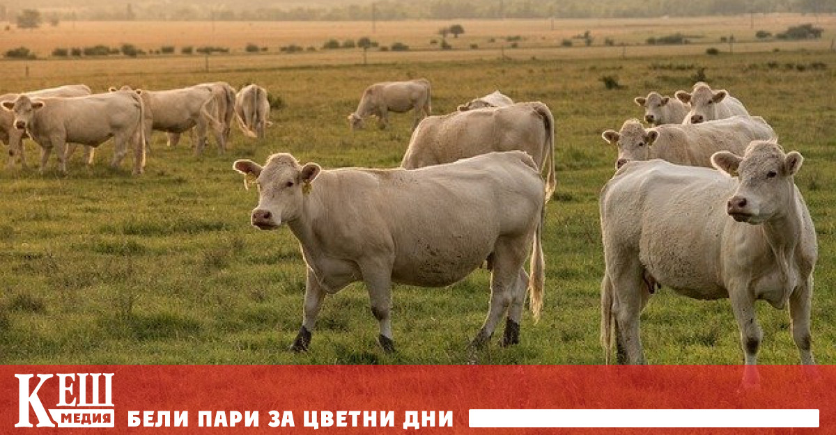 В новото изследване е участвал Майкъл Айзен професор по молекулярна