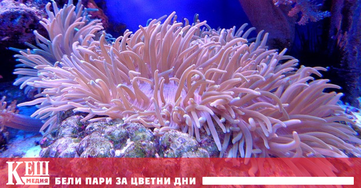 Те са изследвали така наречените температурни убежища това са относително