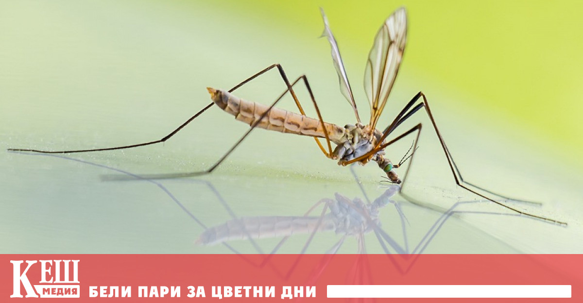 В експеримент проведен от служители на Вашингтонския университет реагират по често