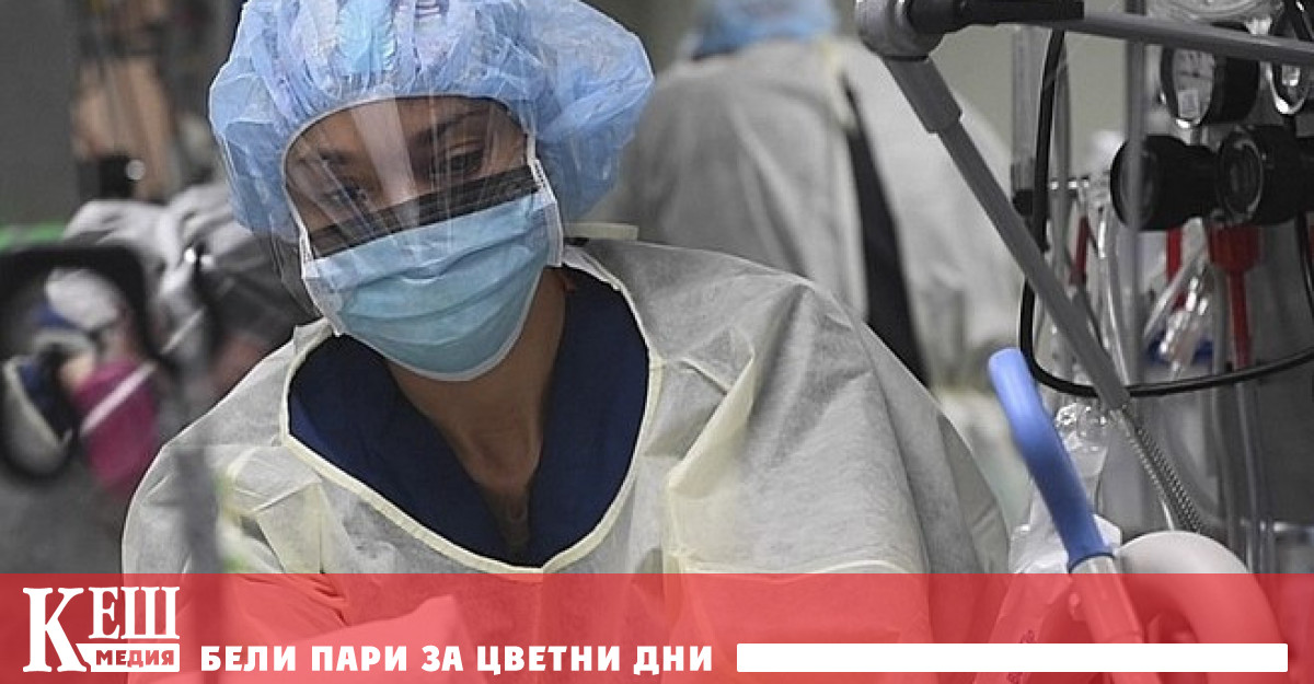 За по малко от 3 дни общо 50 души изявиха желание