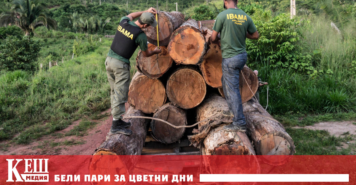 За първия месец на годината са обезлесени общо 430 кв