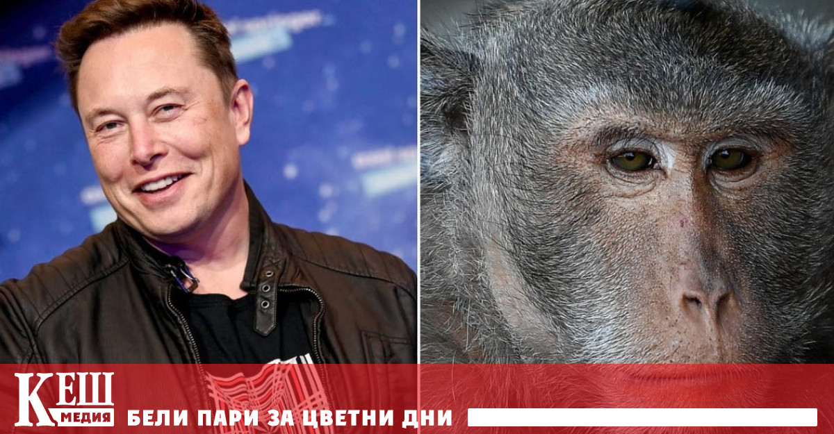 В жалбата предизвикала делото се посочва че от 23 маймуни