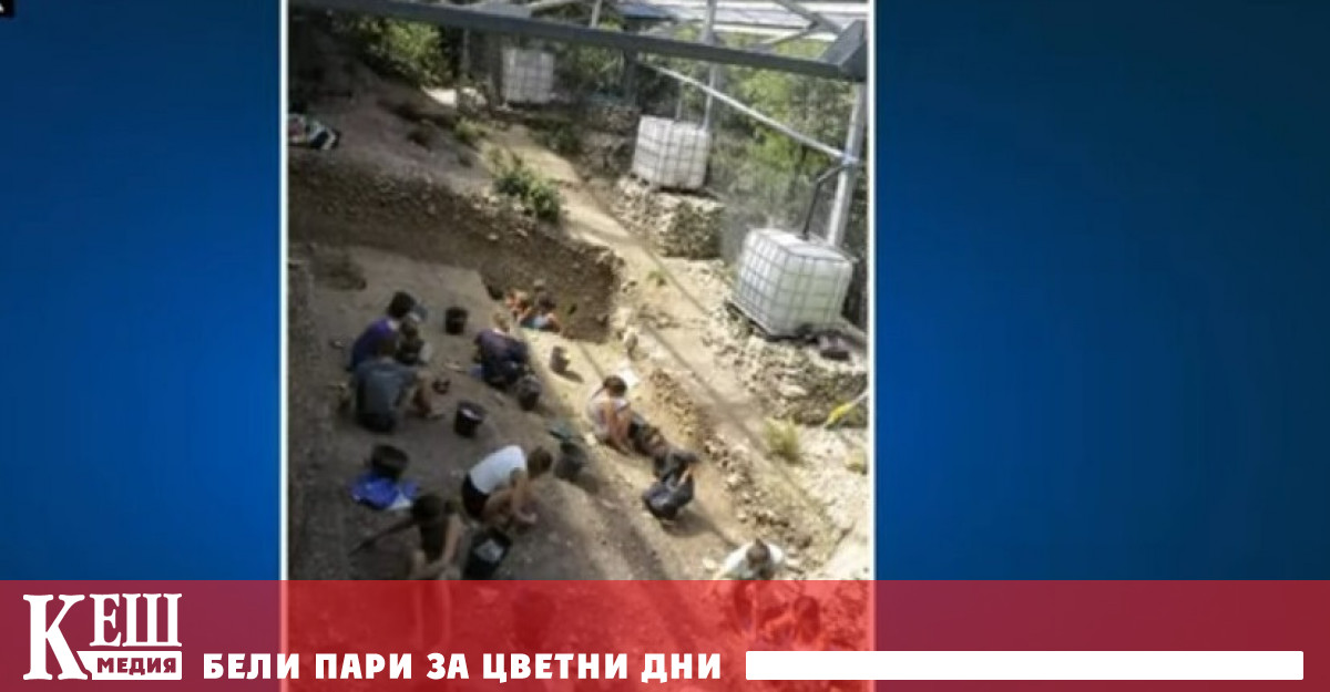 До тези заключения стигна екип от изследователи под ръководството на