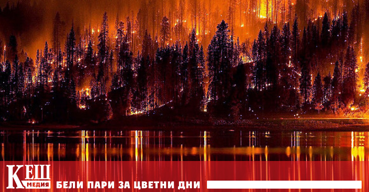 Според доклад публикуван на сайта на организацията тези явления оказват