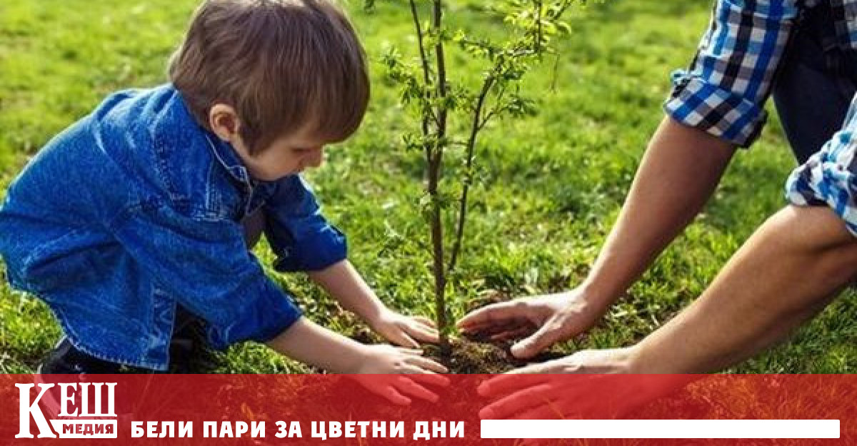 Започва национална кампания по залесяване чрез засаждането на 100 милиона