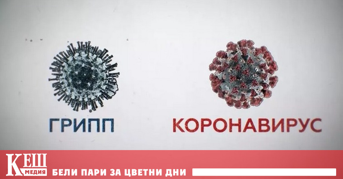 По време на пандемията учените изясниха много интересни подробности за