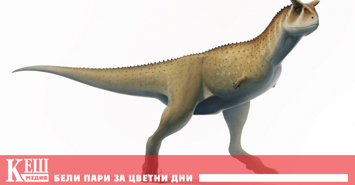 В откриха нов необикновен динозавър За разлика от тиранозавъра който