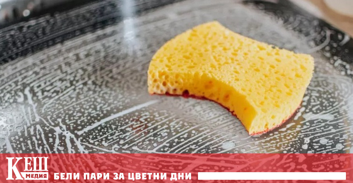 Ново изследване установи че кухненските гъбички са по добър инкубатор за