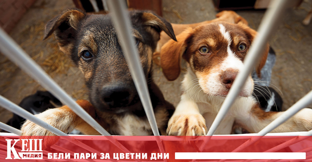 В Испания правителството на социалиста Педро Санчес постави на гласуване