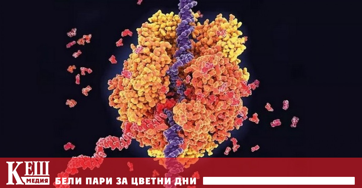 Американската биотехнологична компания започна разработването на три нови ваксини