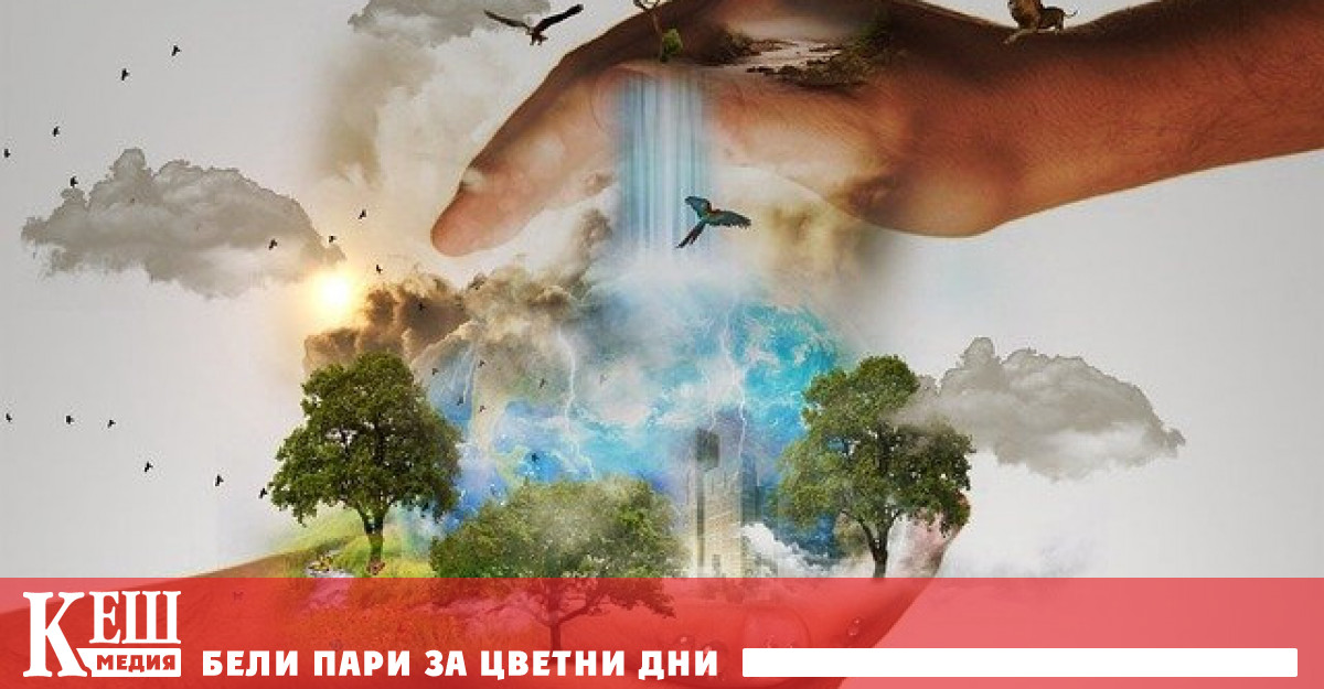 Близо една трета от посевите и пасищата в света ще