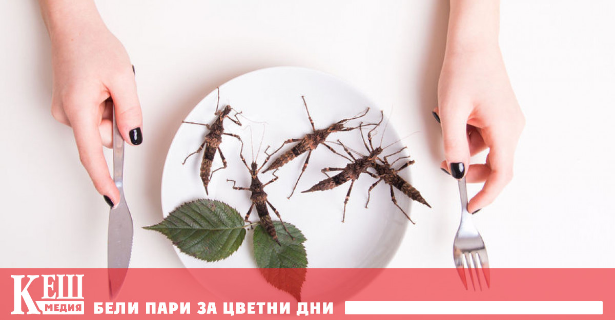 Преминаването към рацион който съдържа по голямо количество ще позволи не