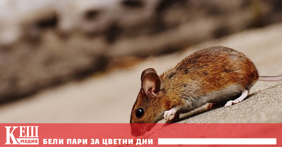 Изследователски екип ръководен от Института за биологични изследвания Солк успя