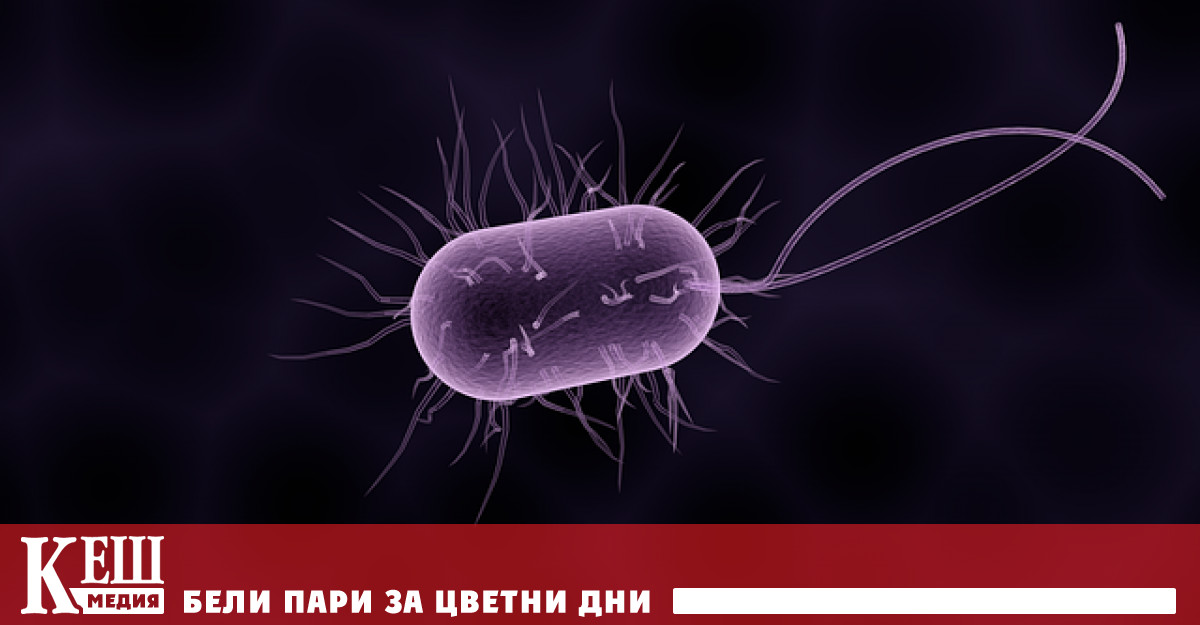 СЗО посочи че е сътрудничила с украинските медицински власти от