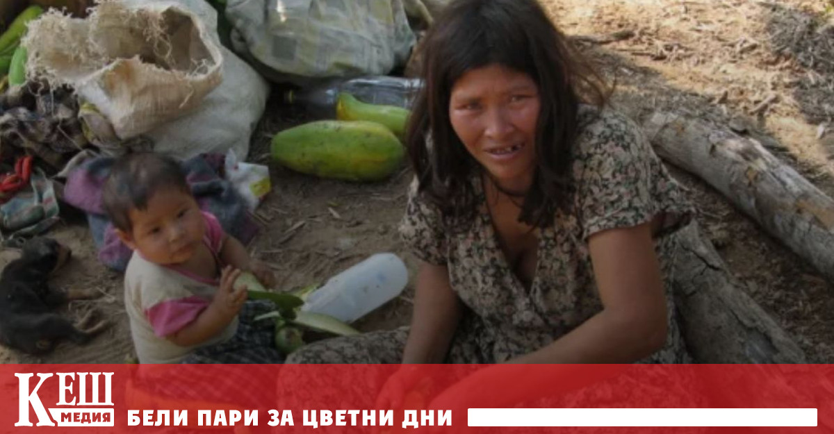 Изолирано племе в боливийската Амазонка има най здравата сърдечно съдова система и