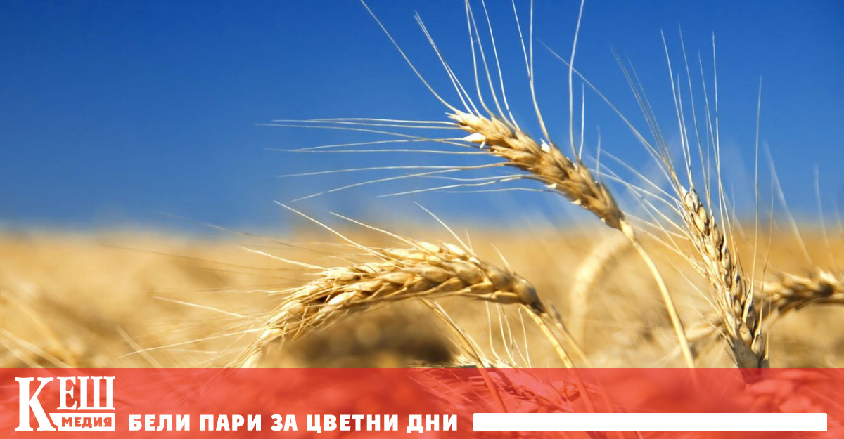 Най тежки последствия от войната в Украйна може да се очакват