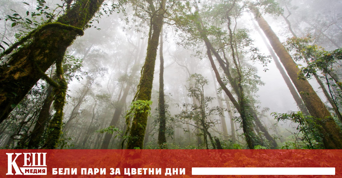 След изчезването им стотици местни жители ги търсиха но в