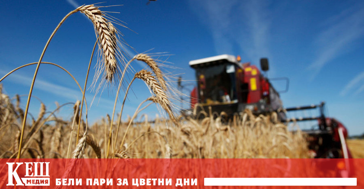 Съединените щати са до голяма степен са независими от доставките