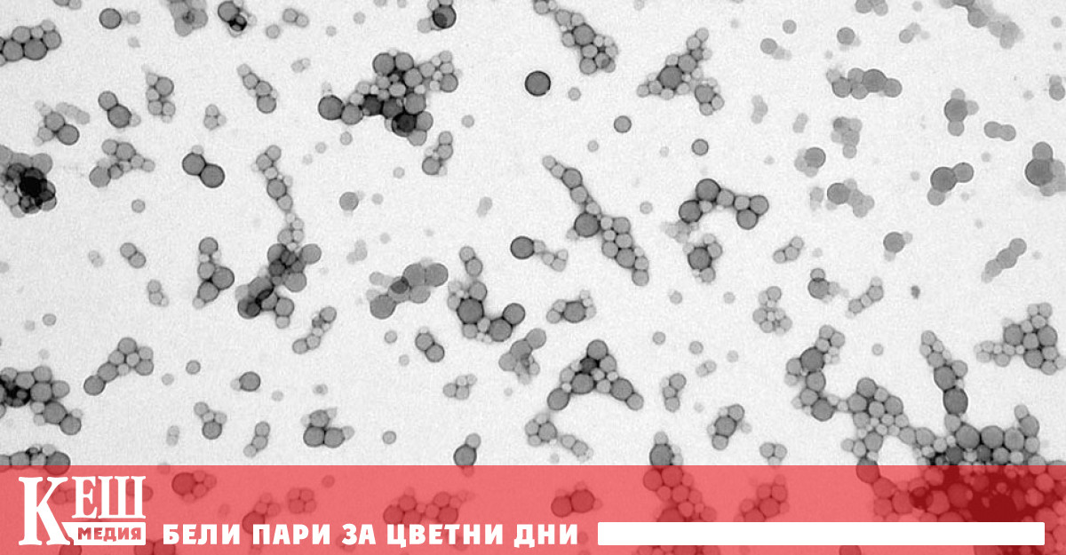 Оказва се че микропластмасата присъства в човешкия организъм Учените са